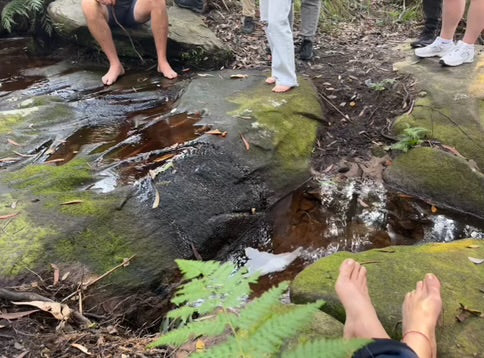 Nature Immersion: Healthy Lifestyle Retreat